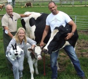 farmer_palmer_wrestles_a_cow-large